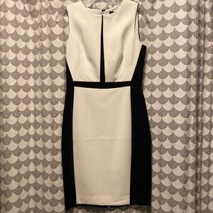 Black/White lined dress for any work occasion.